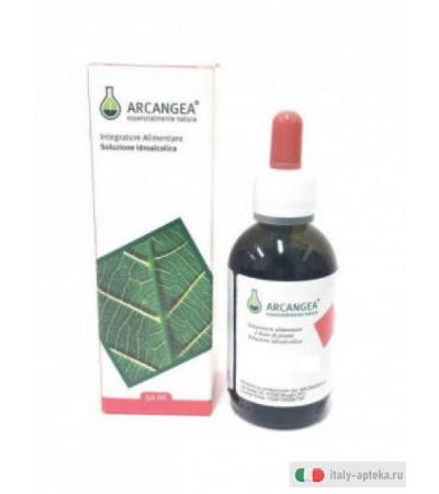 Arcangea Iperico integratore alimentare soluzione idroalcolico 50 ML