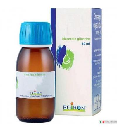 Boiron Cornus Sanguinea Gemme Macerati Glicerici 60ml