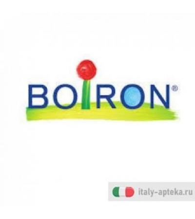 Boiron Dulcamara 7ch Medicinale Omeopatico Granuli