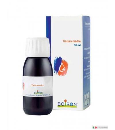 Boiron Gingko Biloba tintura madre medicinale omeopatico 60ml