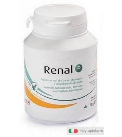 Candioli Renal P mangime complementare per cani e gatti 70g
