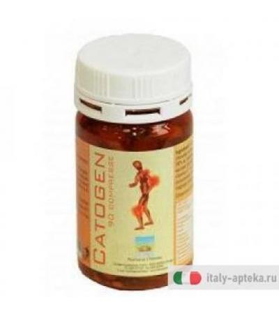 Catogen utile per l'apparato muscolo scheletrico 90 compresse