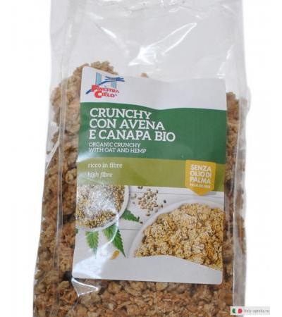 Crunchy con avena e canapa Bio 375gr