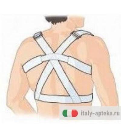 Dr. Gibaud Ortho Sostegno Dorso TG 01