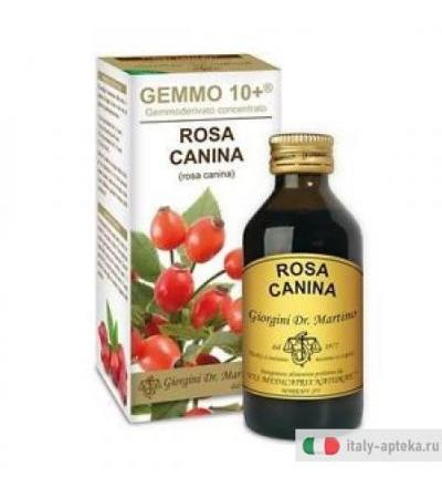 Dr. Giorgini Rosa Canina liquido analcolico gemmo 10+ per le difese immunitarie 100ml