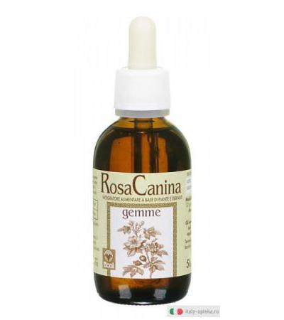 ECOL Rosa Canina per il benessere dell'organismo Estratto Analcolico 50ml