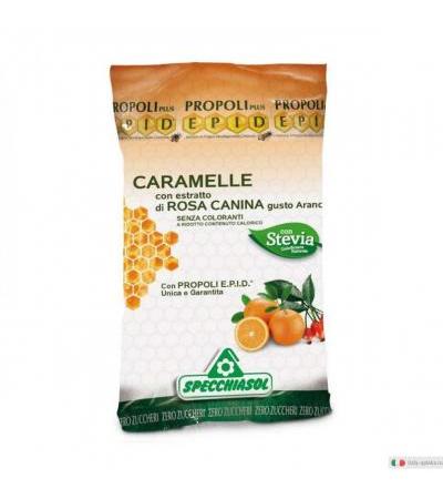 Epid Caramelle alla Rosa Canina gusto arancio sfuse 3kg