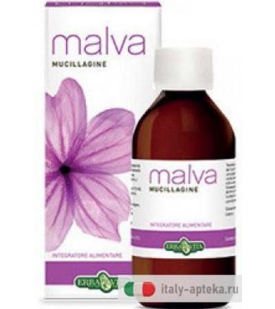Erba Vita Mucillagine di Malva benessere intestinale e orofaringeo 200 ml