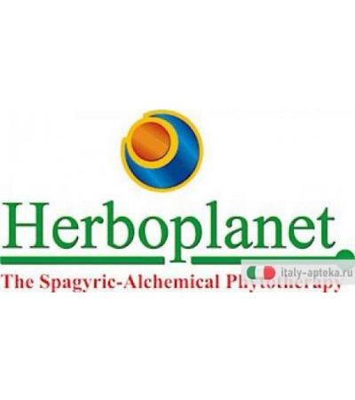 Herboplanet Olea D3 Max integratore alimentare utile per il sistema immunitario gocce 20ml