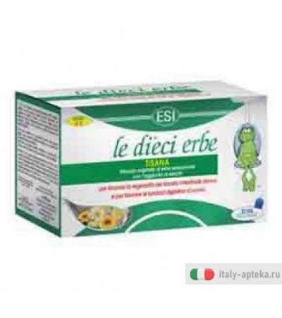 Le dieci erbe tisana per favorire la regolarità del transito intestinale 20 filtri