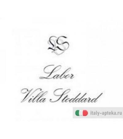 LVS 05N Cichorium Intybus Compositum 60 ml