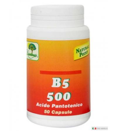 Natural Point B5 500 integratore vitamina B utilizzazione energetica elimenti sistema immunitario 50 capsule