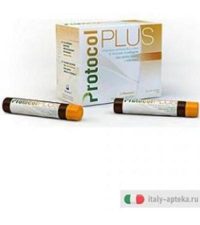 Protocol Plus cartilagine articolare 21 flaconcini da 25ml