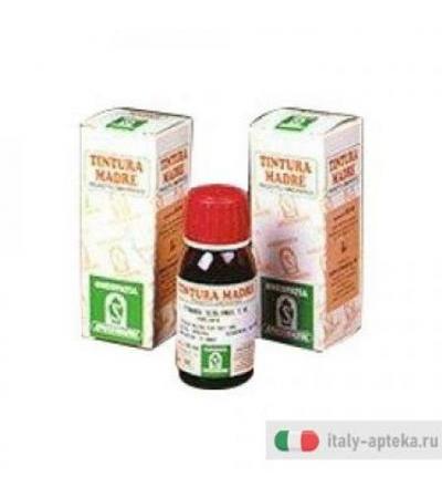 Specchiasol Damiana 29 tinture madri gocce 50ml