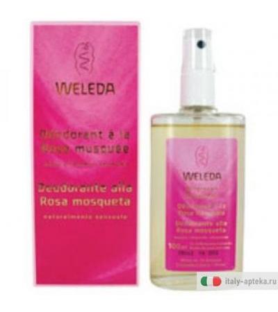 Weleda deodorante alla rosa mosqueta